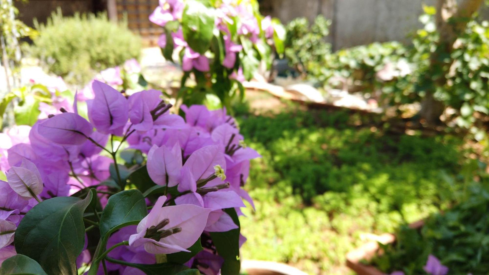 Sibenik City Center Apartment מראה חיצוני תמונה